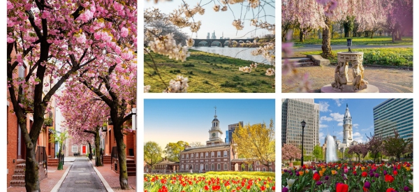 Frühlingsgefühle in Philadelphia – Die fünf schönsten Orte zur Blütezeit